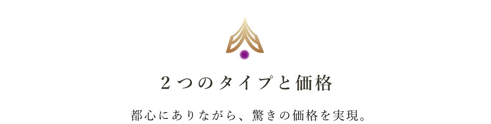 選べる2タイプ