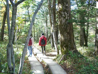 山登り？ハイキング？ 里山型樹木葬