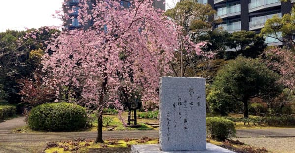 墓じまいの遺骨は永代供養もチェック