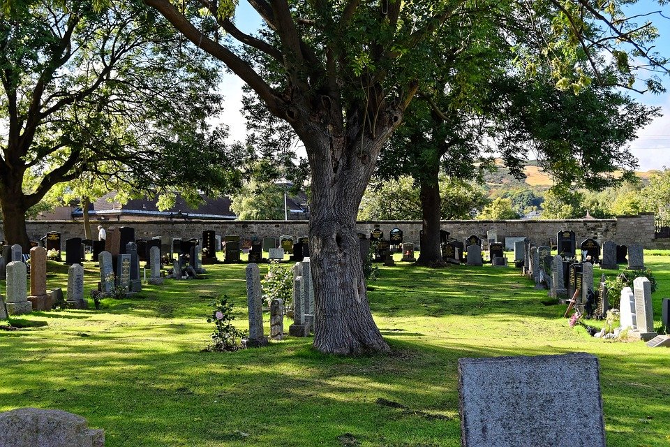 樹木葬にはハナミズキが人気なの？シンボルツリーや埋葬場所について詳しく解説