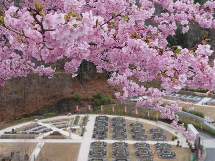 お墓参りしやすい自然豊かな公園墓地とは？おすすめ7選もあわせて紹介