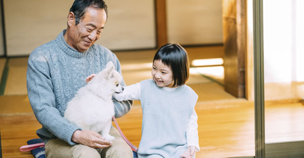 【大阪の終活】相続税の対策は一次相続より二次相続☆家じまいと墓じまいのタイミング