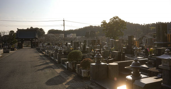 大阪で実家のお墓を無理やり引き継ぐことに。押し付けられたお墓の管理料を払いたくない！