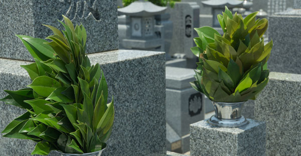 大阪で神道のお墓を建てる。仏教墓との違いや特徴、彫刻する文字、費用の目安まで解説！
