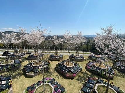 大阪で樹木葬ができるおすすめの霊園23選｜費用の目安や選ぶ際のポイントを解説