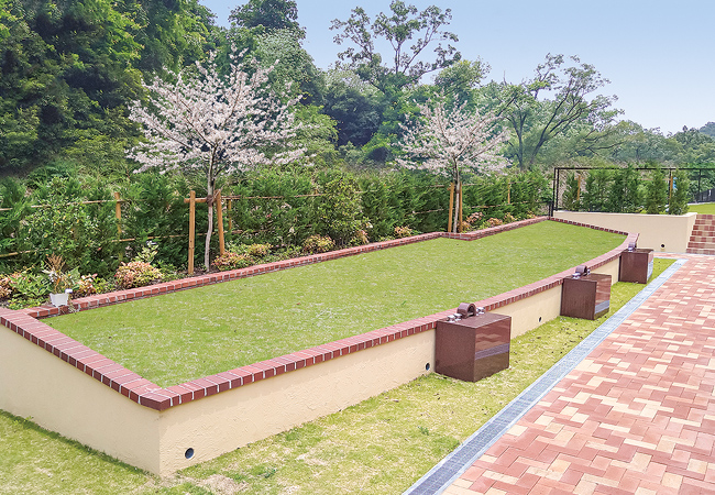 樹木葬のイメージ画像