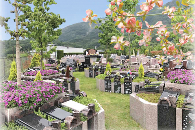 ハナミズキの樹木葬のイメージ画像