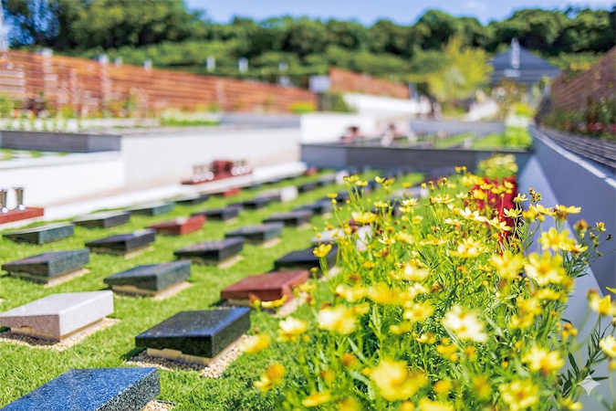 樹木葬のイメージ画像