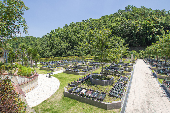 霊園内の樹木葬のイメージ画像