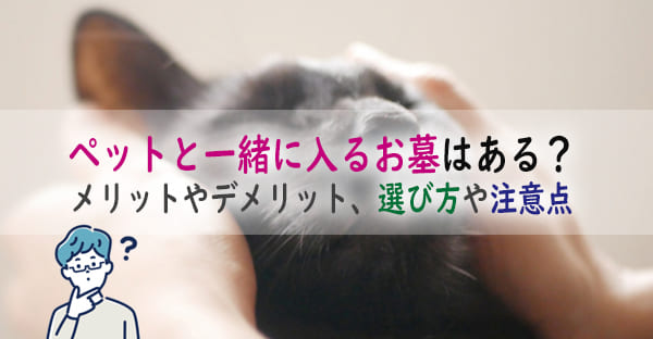 お墓にペットと一緒に入ることはできる？メリットやデメリット、選び方や注意点はある？