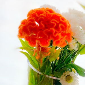秋のお彼岸に供える花は何がいい 選び方5つのポイントやタブー おすすめ5種類の花々 秋のお彼岸に供える花は何がいい 選び方5つのポイントやタブー おすすめ5種類の花々