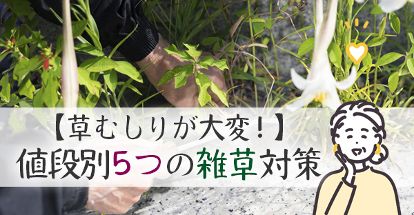 【大阪のお墓】お墓の雑草、草むしりが大変！玉砂利や防草シート5つの雑草対策を解説！