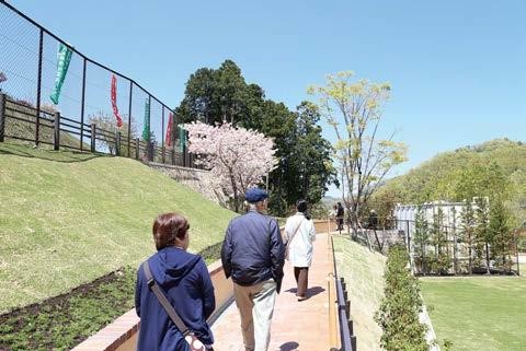 樹木葬の見学ができる霊園や寺院はある？現地でチェックするポイントも解説