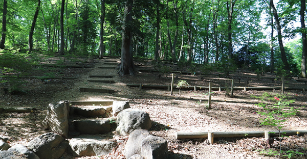 樹木葬の里山型は、里山の自然葬