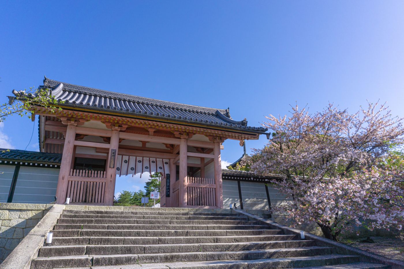 お墓の跡継ぎがいない悩みを解決！対処法や永代供養について紹介