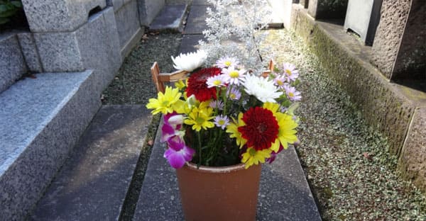 春のお彼岸に供える花にマナーはある？