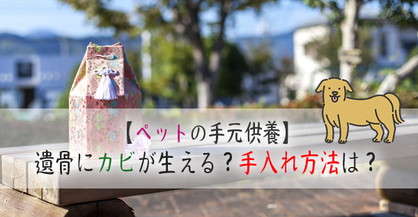 手元供養にしているペットの遺骨の手入れ方法。カビが生えやすいって本当？｜永代供養ナビ