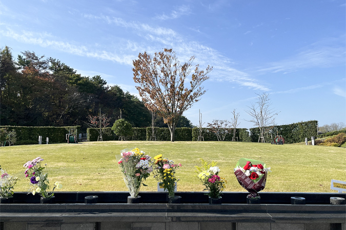 樹木葬での合祀とは?供養方法の違いとメリットとデメリット・費用相場も解説