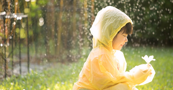 2025年の梅雨入りを楽しむ過ごし方は?