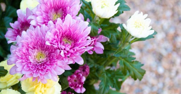 お盆に適した花の選び方