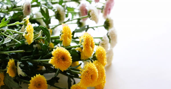 まとめ|お盆の供え花に心を込めて