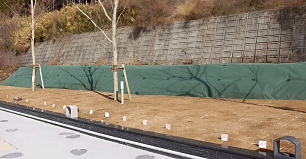 まとめ:樹木葬は親と家族をつなぐ“やさしい供養”のかたち