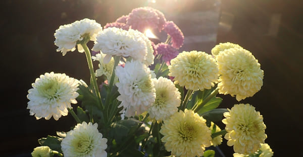 宗派や考え方で迷ったときの判断のヒント