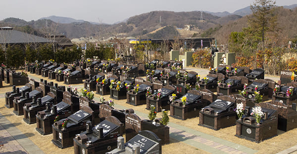 大阪で宗派別に永代供養を行う寺院・霊園の一例