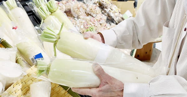 老後破産の「実態」と「原因」：なぜ今、増加しているのか？