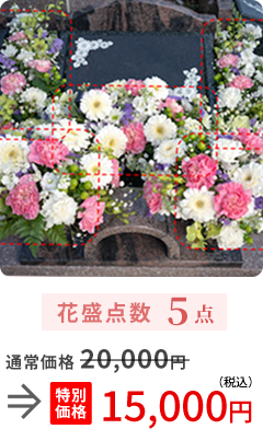 花盛点数5点