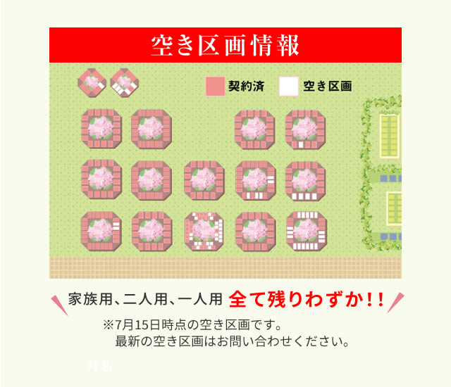 金剛4