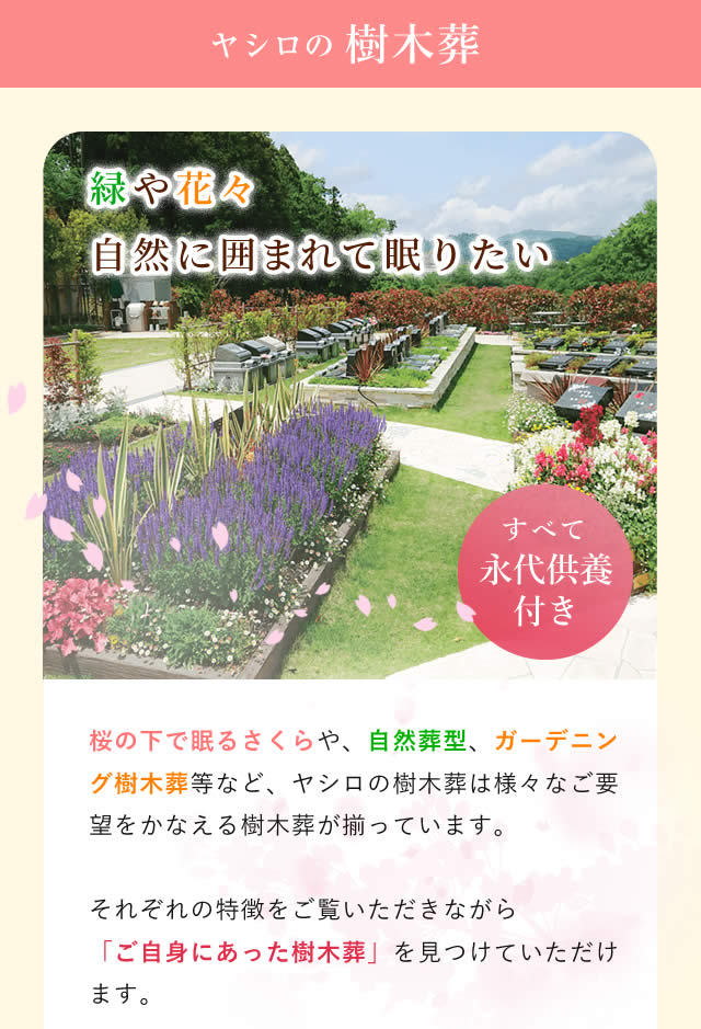 樹木葬1
