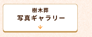 ギャラリーへ