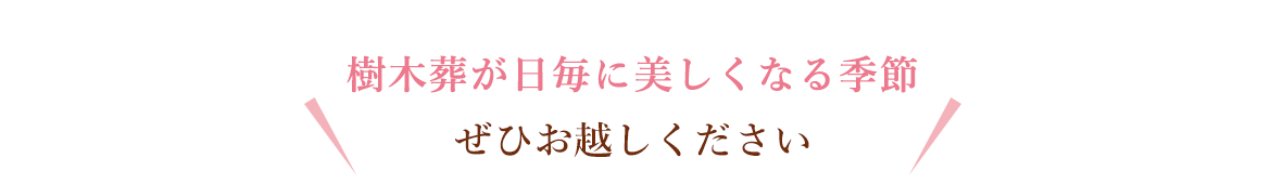 ぜひ現地でご覧ください
