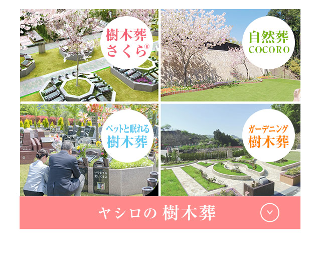 樹木葬