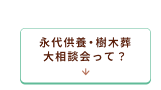 ポイント