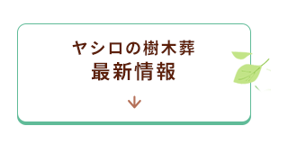 霊園新区画情報