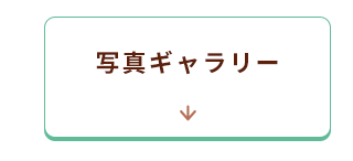 ギャラリーへ