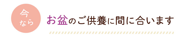 今ならお盆のご供養に間に合います