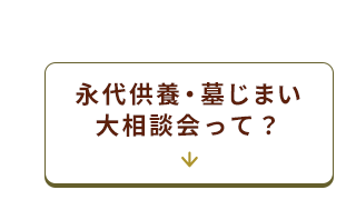 ポイント