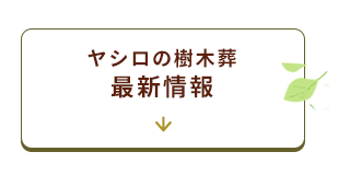 霊園新区画情報