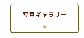 ギャラリーへ