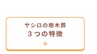 ヤシロならではの特徴