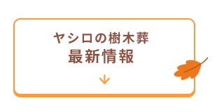 霊園新区画情報