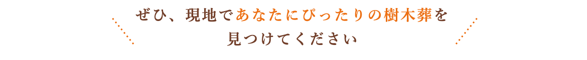 ぜひ現地でご覧ください