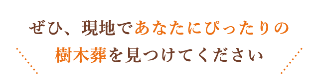 ぜひ現地でご覧ください。