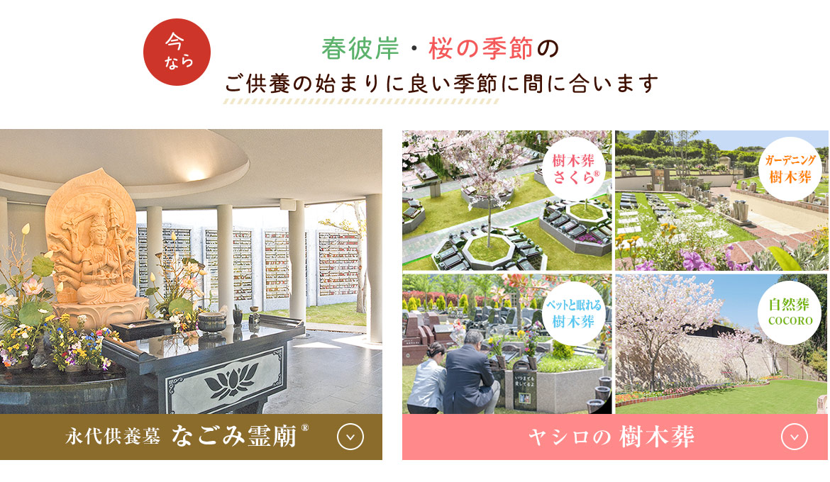 なごみ霊廟と樹木葬