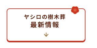 霊園新区画情報