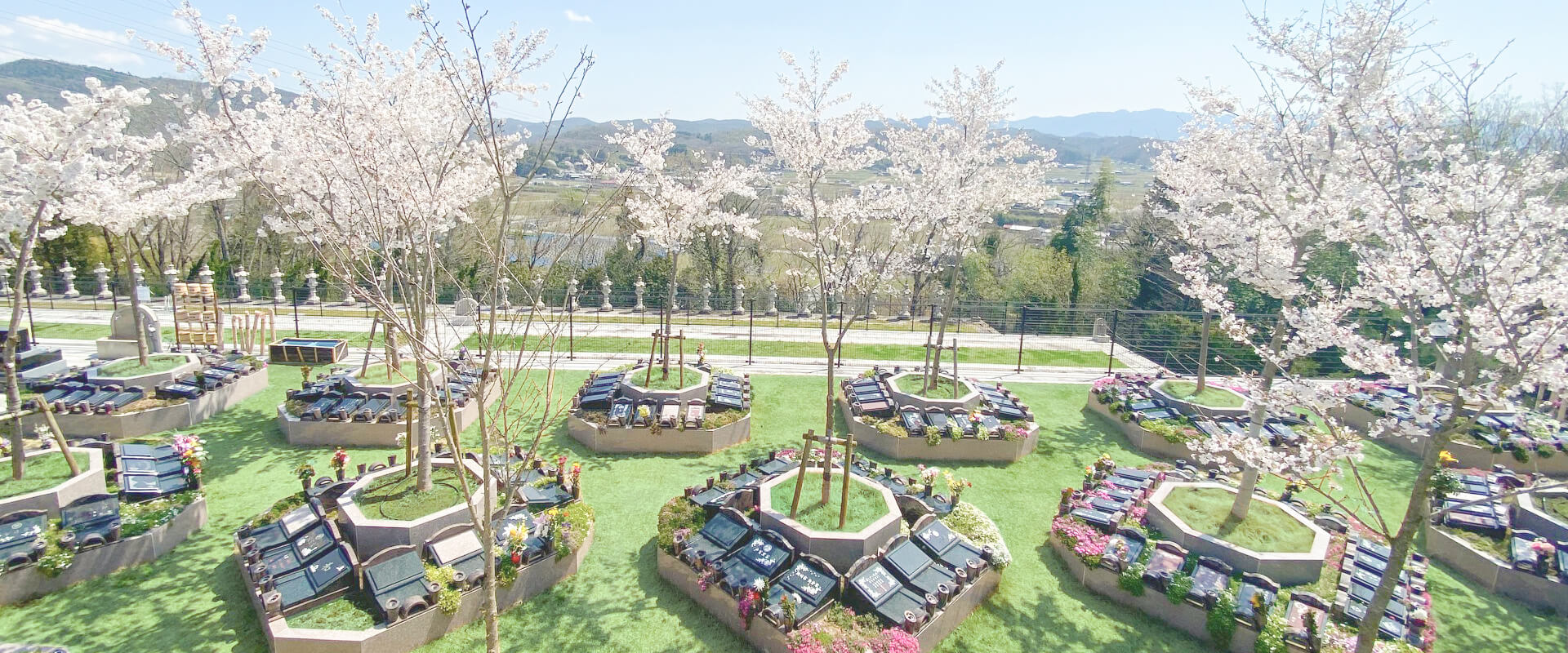 キャンペーン・見学会｜供養にまつわる総合企業 霊園・墓石のヤシロ