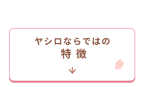 ヤシロならではの特徴